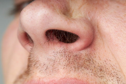 Os cabelos das narinas filtram o ar que respiramos. (Fonte: Shutterstock)