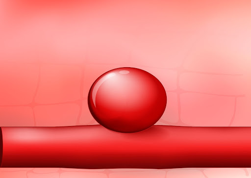 Arte ilustrando a dilatação do vaso sanguíneo. (Fonte: Shutterstock/Designua/Reprodução)