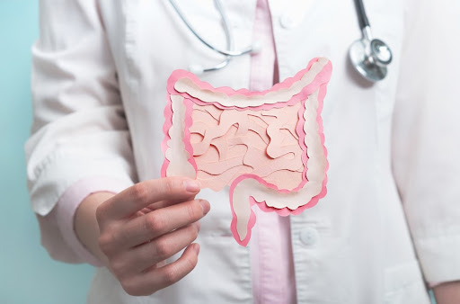 A doença acontece em decorrência da inflamação de pequenas bolsas que se formam na parte mais grossa do intestino. (Fonte: Shutterstock/Reprodução)