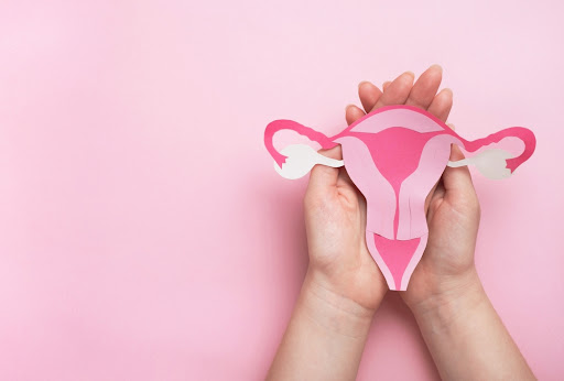 A saúde sexual tem como premissa a capacidade de a mulher em gerir a própria vida afetiva, sexual e reprodutiva. (Fonte: Shutterstock/Reprodução)