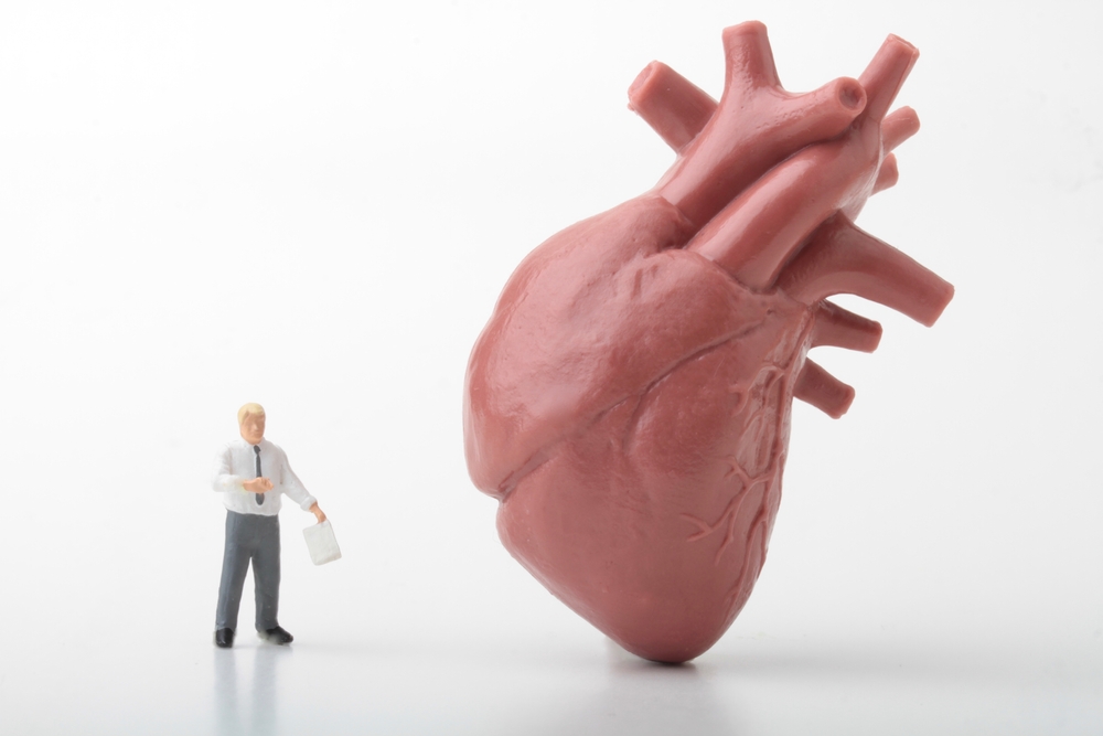 Coração é composto de membrana externa, músculos e revestimento interno. (Fonte: Shutterstock/Reprodução)
