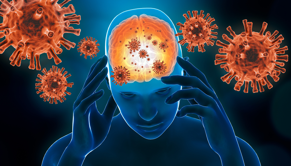 Os vírus são os principais causadores da inflamação na meninge. (Fonte: Shutterstock/MattLphotography/Reprodução)