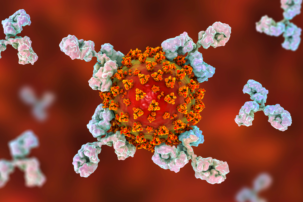 Ilustração 3D do Sars-CoV-2 sendo combatido por anticorpos. (Fonte: Shutterstock/Kateryna Kon/Reprodução)