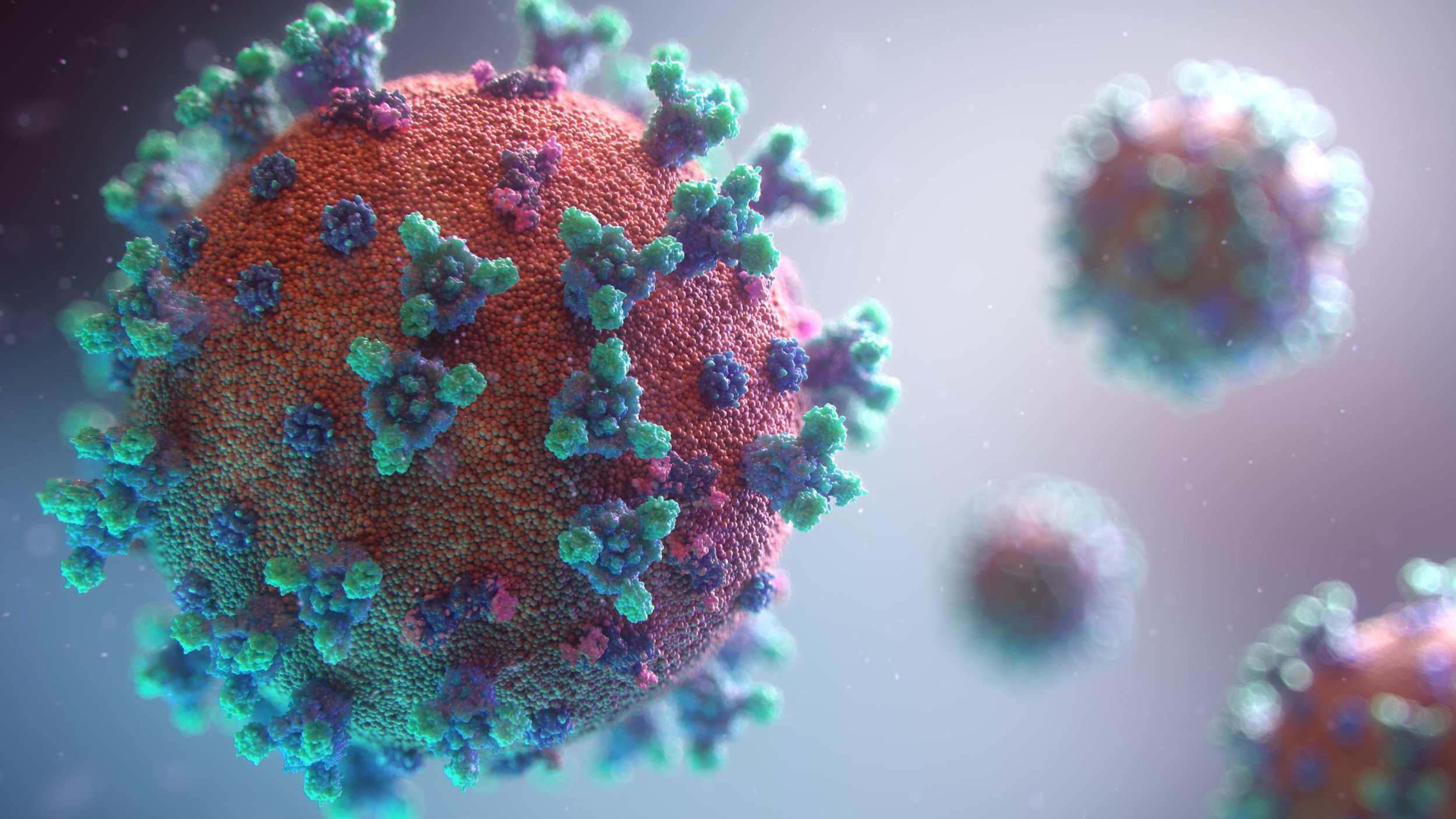 No Brasil, a pandemia do novo coronavírus prejudicou a mensuração dos casos de DTNs. (Fonte: Unsplash / Reprodução)