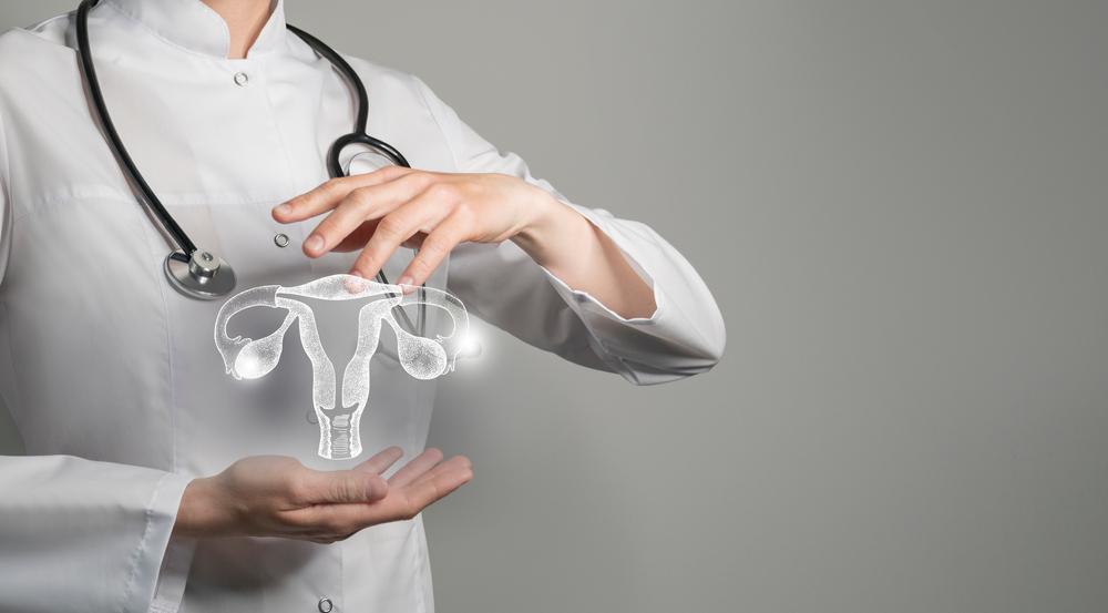 Os médicos são essenciais para engravidar de maneira segura e confortável. (Fonte: Shutterstock)