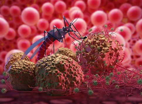 A malária é uma enfermidade infecciosa potencialmente fatal, associada à febre e anemia, que afeta milhões de pessoas globalmente. (Fonte: Getty Images/Reprodução).